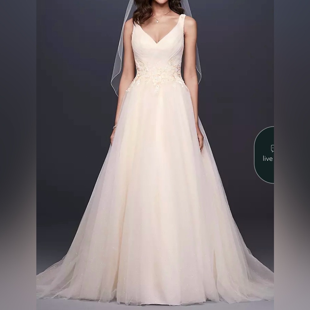David’s Bridal Ivory/Champagne Appliqué Glitter Tulle A-Line Dress Style #WG3930